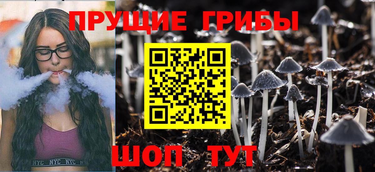 Псилоцибиновые грибы Psilocybine cubensis  Галлюциногенные грибы прущие грибы  Вход с VPN  Егорьевск 